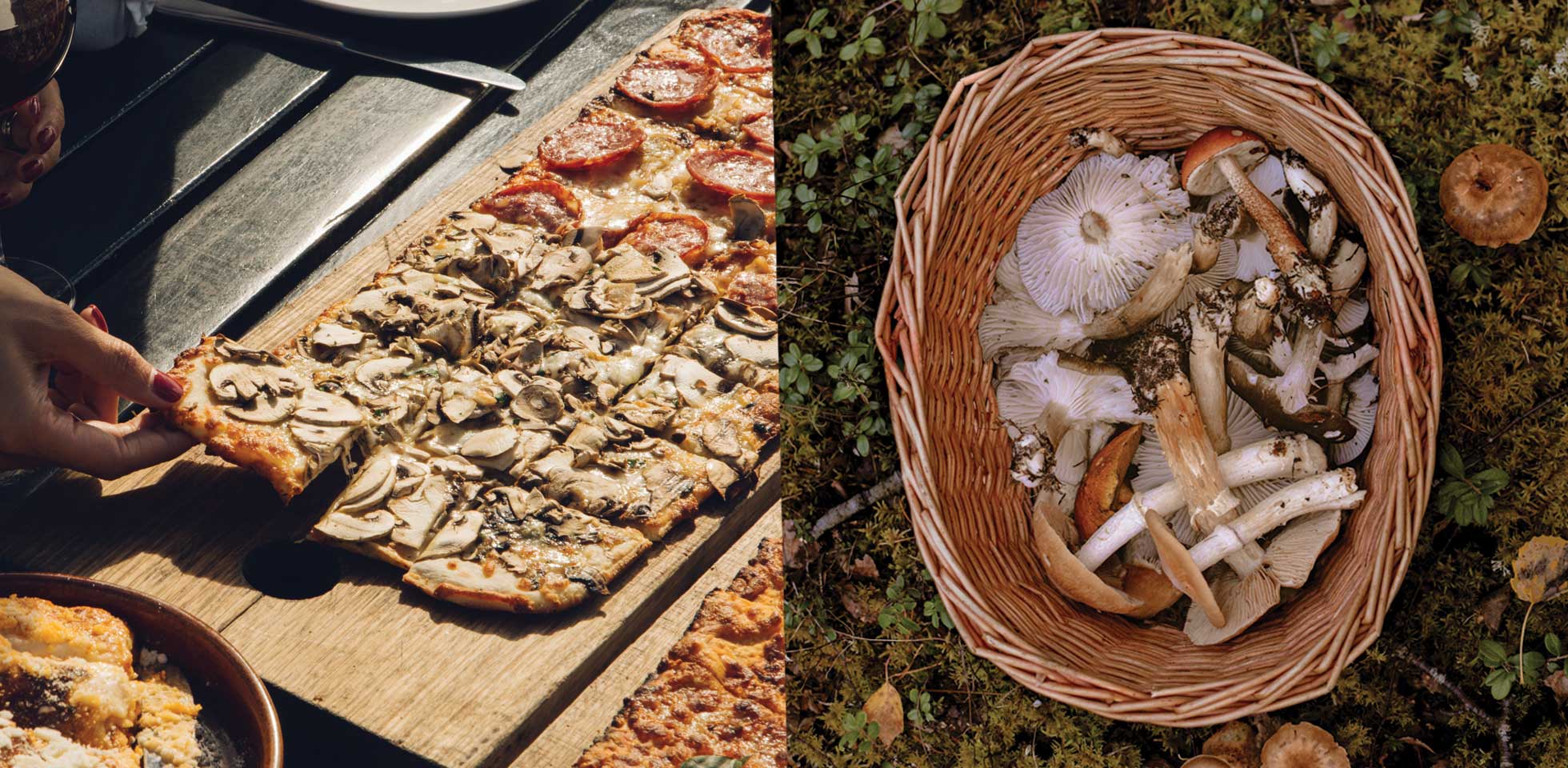 Mushrooms in May 2021 - CANCELLED