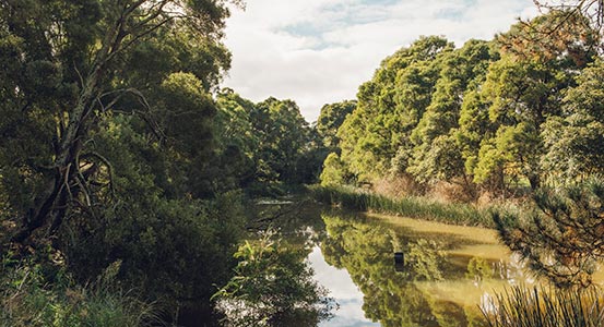 T'Gallant Mornington Peninsula